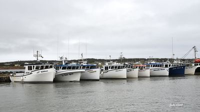 Jode3310_28recnivph.jpg