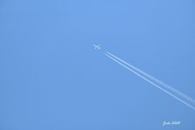 Jode3363_75 rduit.JPG