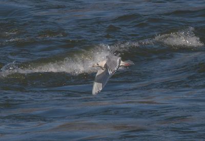 ICGU ad 020423 Wilson Dam Lauderdale Co AL GregDJackson - 0121b.jpg
