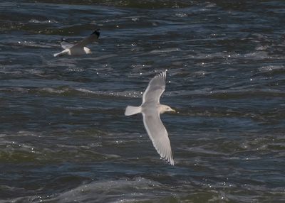 ICGU ad 020423 Wilson Dam Lauderdale Co AL GregDJackson -0186.jpg