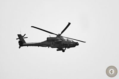 g13/41/127441/3/174370343.c6c6f3c4.JPEG