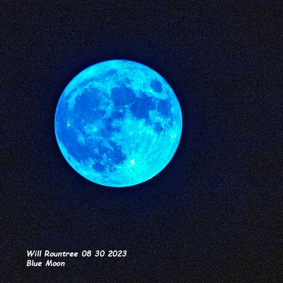 5F1A1840 Blue Moon .jpg