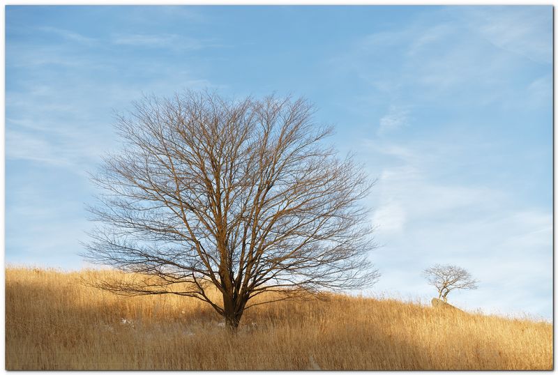 20221221 -- 155846 -- Canon 6D2 + Tamron 35-150 / 2.8 @ 70mm f/3.5 1/320 ISO 100