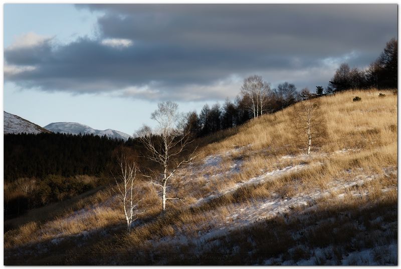 20221230 -- 155045 -- Canon 6D2 + Tamron 35-150 / 2.8 @ 150mm f/5.6 1/400 ISO 100