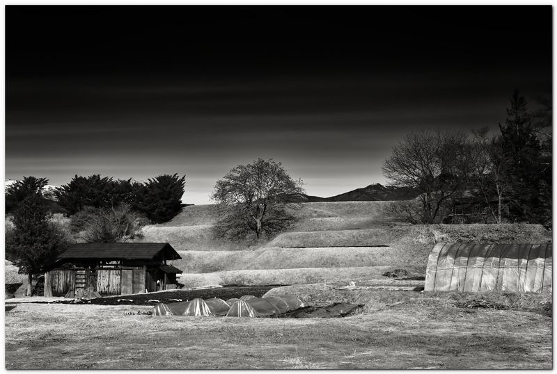 20230106 -- 114736 -- Canon 6D2 + Tamron 35-150 / 2.8 @ 43mm f/5.6 1/1000 ISO 100