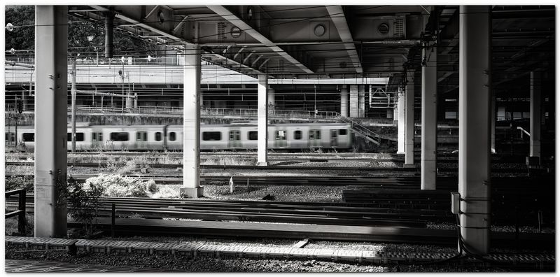 20230110 -- 140424 -- Canon 6D2 + Tamron 35-150 / 2.8 @ 35mm f/5.6 1/50 ISO 100