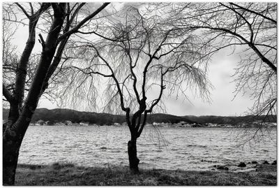 g13/41/399841/3/173376330.6ae37b52.JPEG