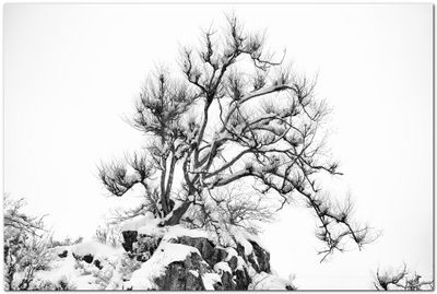 g13/41/399841/3/173376356.f0a4a24b.JPEG