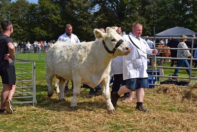 Bute Agricultural Show 2025
