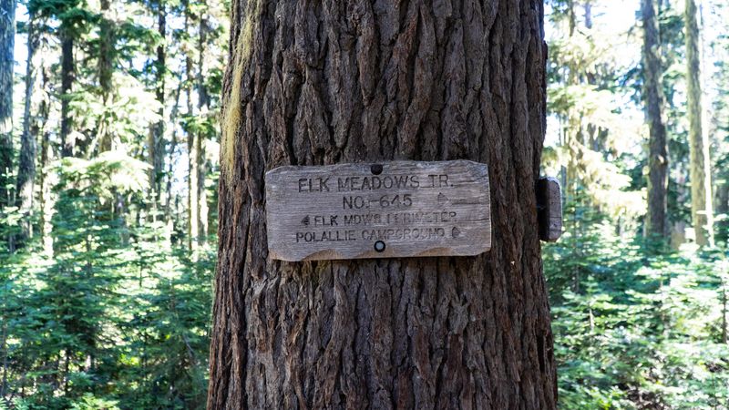 Elk Meadows Trail