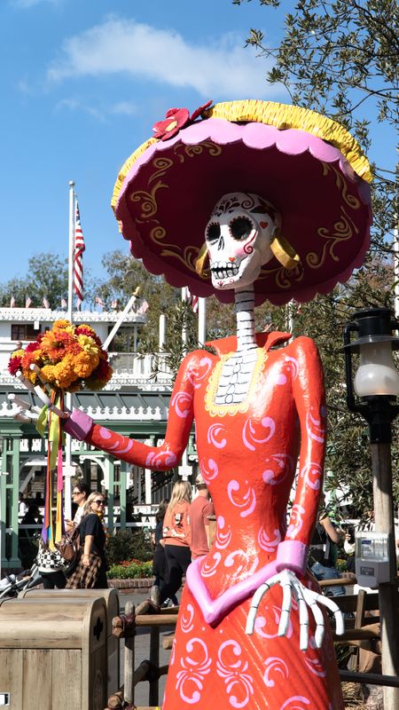 Da de los Muertos skeleton