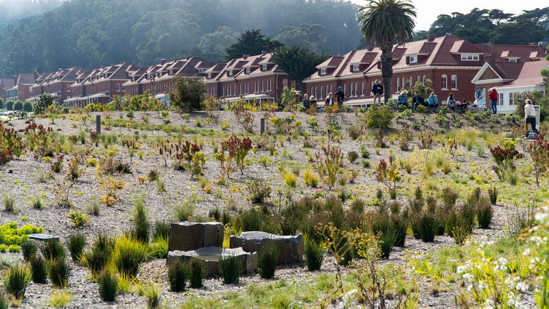 The Presidio
