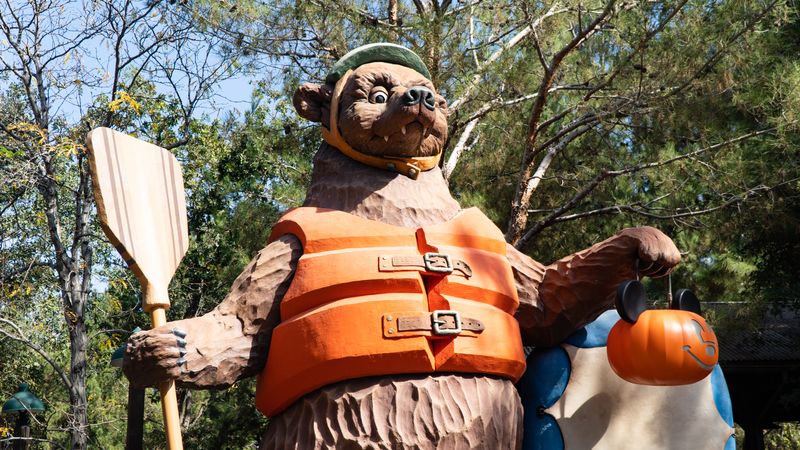 Grizzly River Run Bear