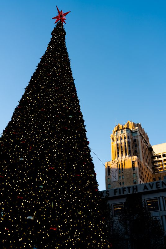 Union Square Christmas Tree