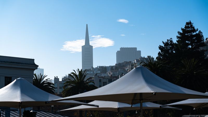 View from Pier 33