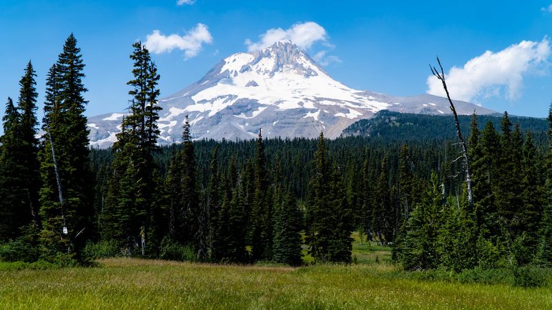 Mount Hood