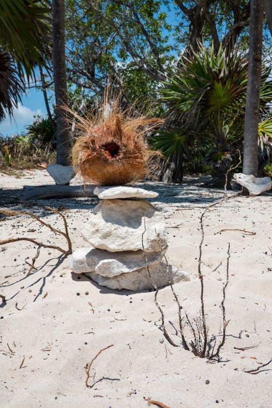 Beach Coconut Art