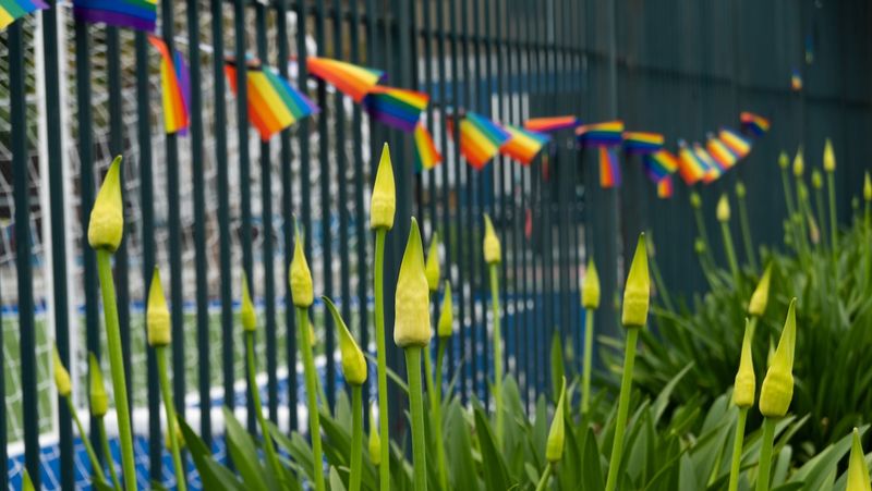 Pride in Emeryville