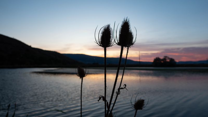 Hot Lake Springs Sunset