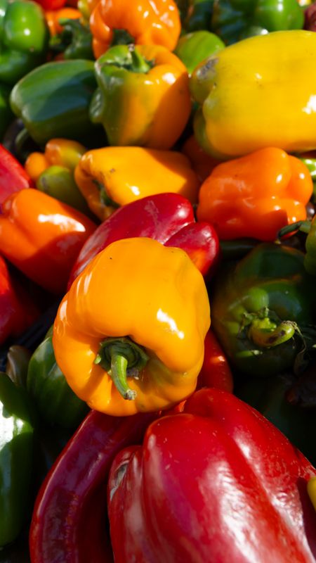 Colorful Peppers!