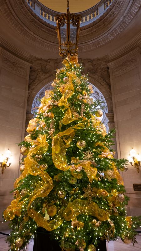 San Francisco City Hall Christmas Tree