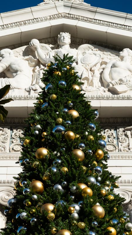 Ritz-Carlton Christmas Tree