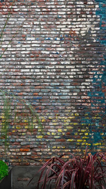 Colorful Wall in the Barbary Coast District