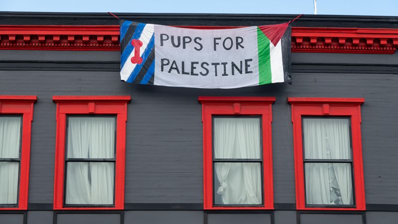 Pups for Palestine