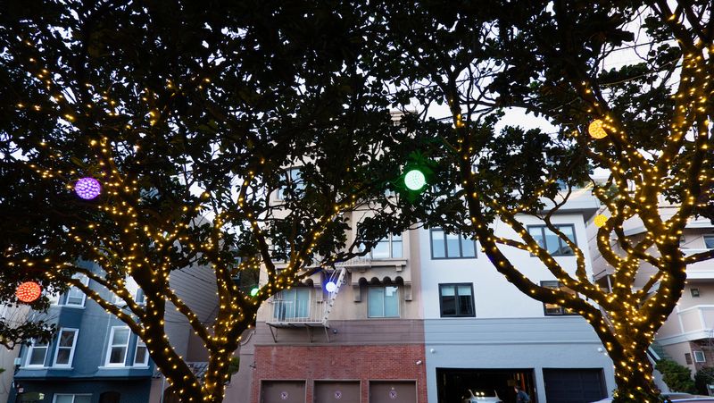 Holiday Lights on Union Street