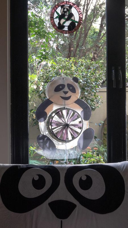 Domestic Pandas