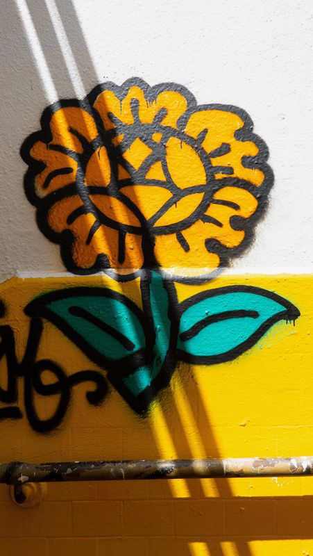 Stockton Tunnel Sunflower