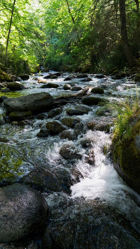 Ashland Creek, Lithia Park