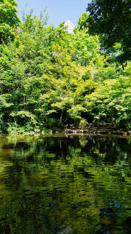 Lower Duck Pond, Lithia Park