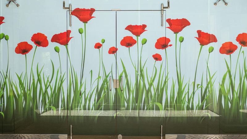 Poppies