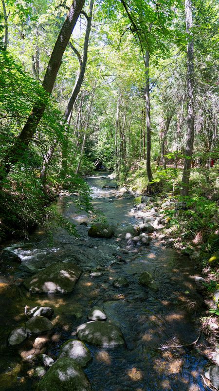 Ashland Creek
