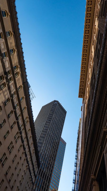Looking Up on New Montgomery