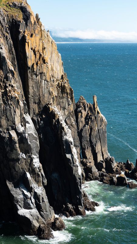 Oswald West State Park Cliffs