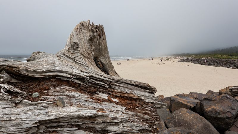 Barview Jetty Beach