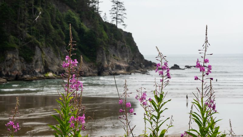 Short Sands Beach
