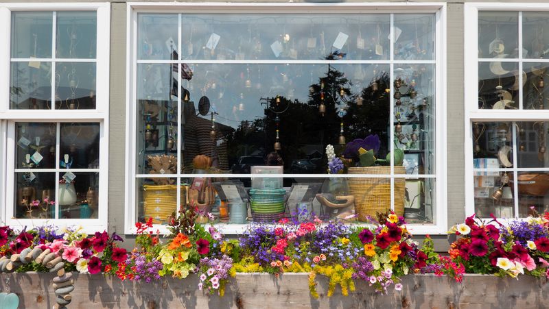 Manzanita Storefront