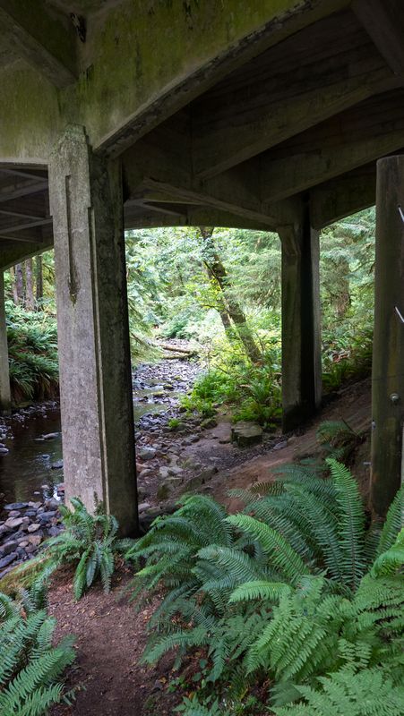 Oswald West State Park Bridge