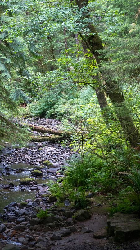 Short Sand Creek