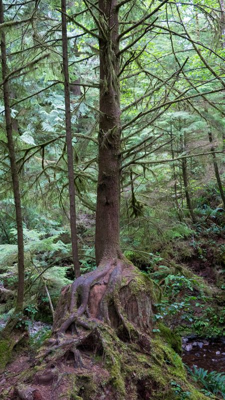 Short Sand Beach Trail
