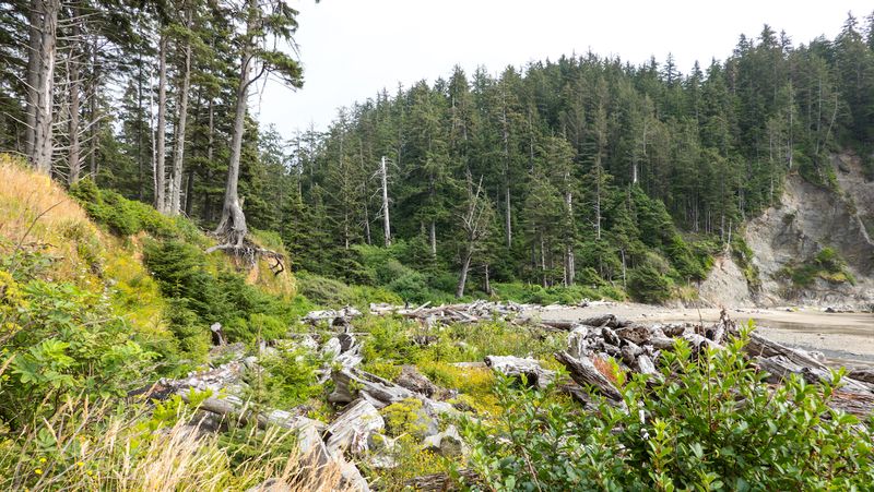 Smugglers Cove