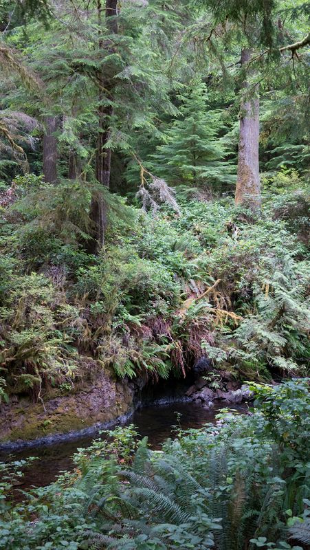 Short Sand Creek