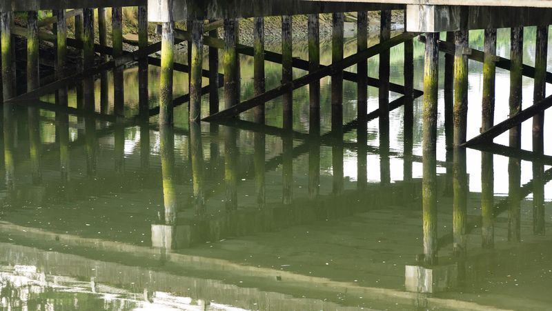 Necanicum River Reflections