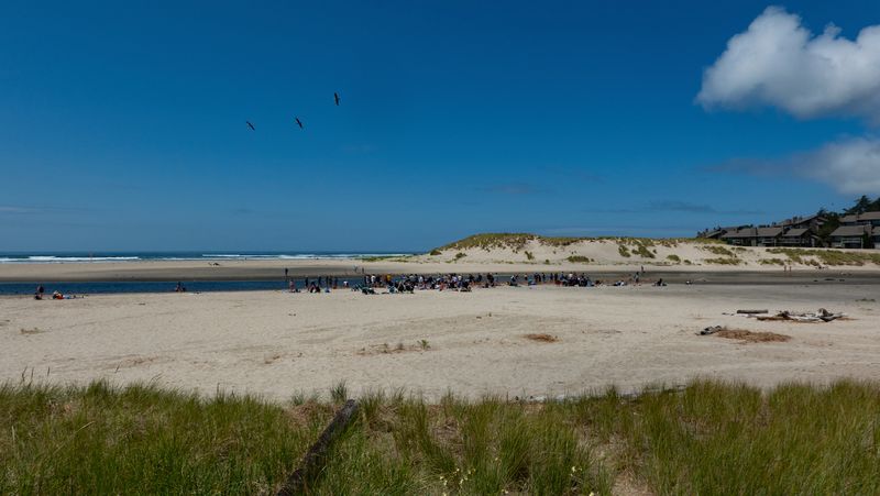 Cannon Beach Sandcastle Contest