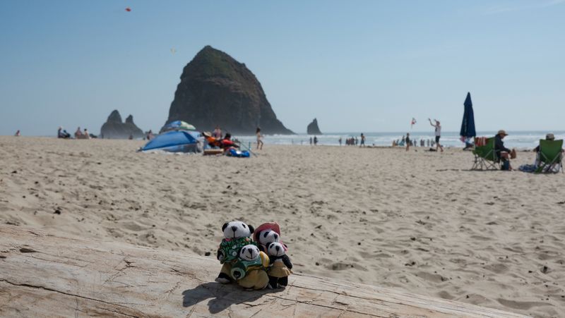 The Pandafords Visit Cannon Beach Oregon
