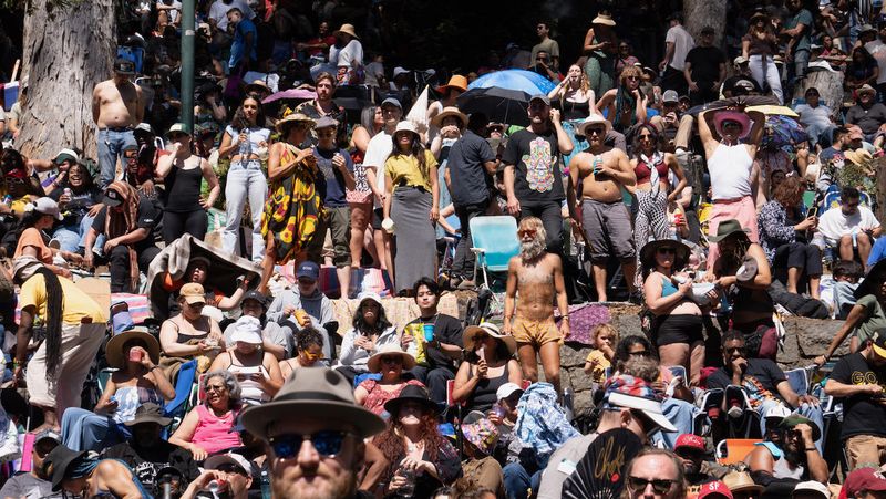 Stern Grove Concert on a Warm Day