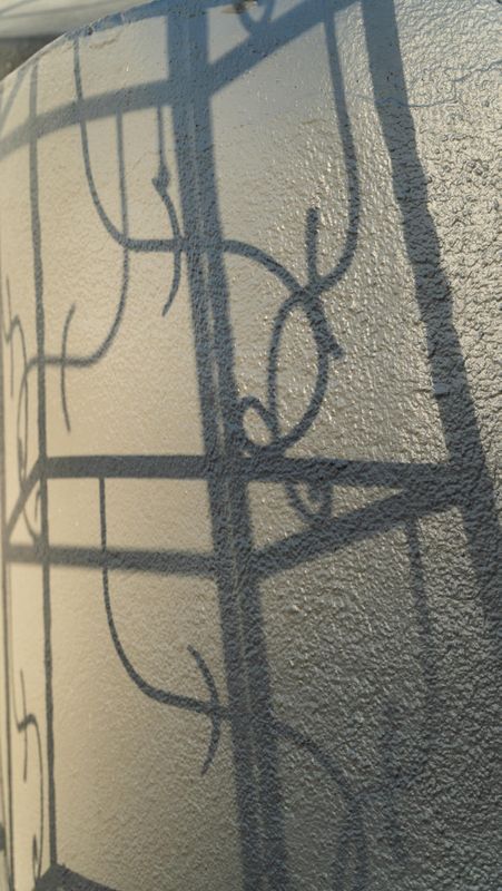Cabo Shadows
